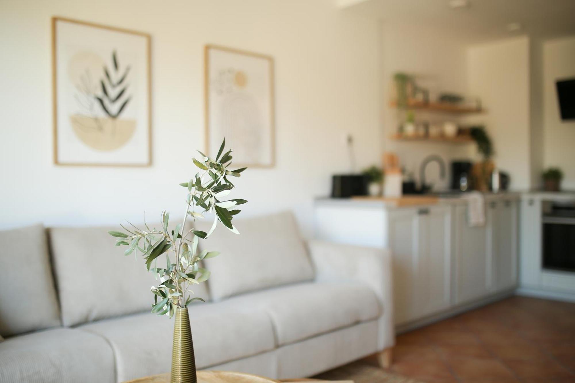 Apartament Modern Flat With Montgo View Denia Zewnętrze zdjęcie