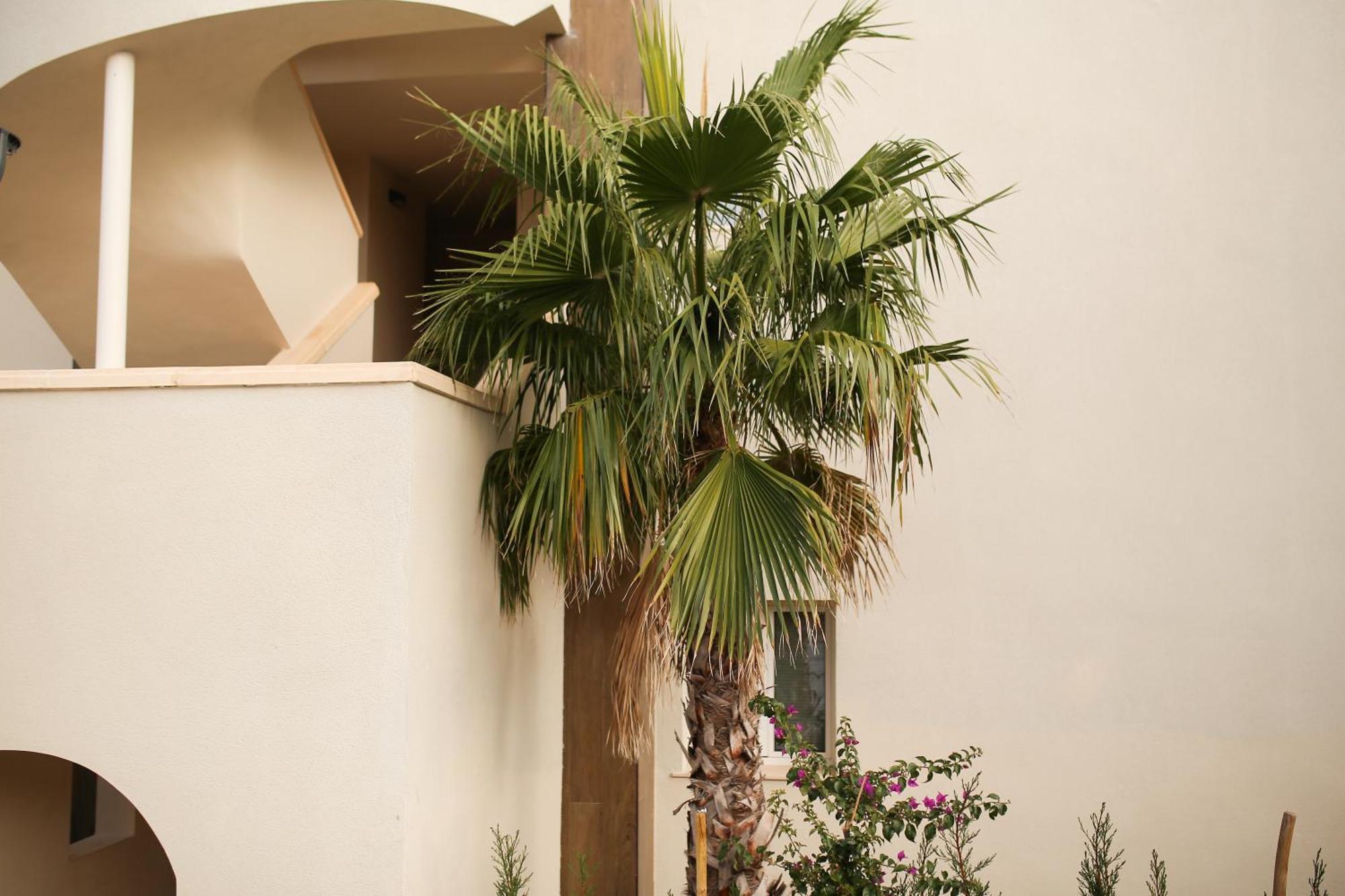 Apartament Modern Flat With Montgo View Denia Zewnętrze zdjęcie